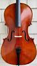 Vc619 Eastman Andreas Cello