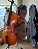 Vc915g Eastman Series Cello With Case Stand