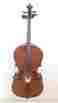 Vnc-1 4 Size Cello Stagg Quarter Solid Spruce Top W Bow And Bag Blem A530 882030143359