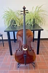 Mint Open Box Maple Leaf Chaconne 3/4 Size Cello Model MLS500C; With Bag,bow. Fixed Price $1649.00.