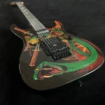 24-FRET Electric Guitar, Double Tremolo, Local Warehouse, Free Shipping. Fixed Price $270.15.