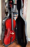 Eastman Ivan Dunov VC401 Size 4/4 Intermediate Cello Bundle!. Fixed Price $3250.00.