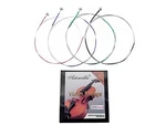 AV10 4/4 Violin Steel Strings Set. Fixed Price $15.04.