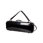 Crossrock Fiberglass Oblong Case Fits 4/4 Full-size Violin, With Tsa Lock-black. Fixed Price $228.99.