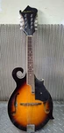 Archer Telluride F-style Mandolin Sunburst Gtsamffl 8 String. Fixed Price $189.99.