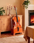 Cello Stand With Bow Holder, Non Slip Rubber Base, Premium Basswood Frame. Fixed Price $65.99.