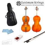 Eastman 80 Upgraded Student Cello Outfit - Used / Mint Condition. Fixed Price $900.00.