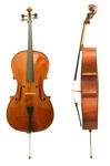 Pirastro Aricore Cello D String 4/4. Fixed Price $30.00.