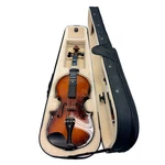 Cecilio CVN-300 Violin With Case. Fixed Price $79.99.