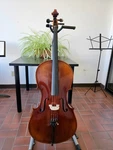 Mint Open Box Maple Leaf Chaconne 4/4 Size Cello Model MLS500C With Bag And Bow. Fixed Price $1649.00.