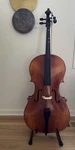 Bellafina Model Corelli MC10 Cello 4X4 Serial Number 2352849 2023. Fixed Price $850.00.