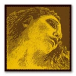 Pirastro Evah Gold 4/4 Violin Strings, Medium Gauge, Authorized Dealer. Fixed Price $124.47.