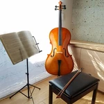 4/4 School Band Student Cello+bag+bow+bridge+rosin For Beginner Natural Color. Fixed Price $159.95.