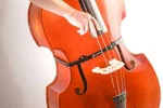 Headway The Band 2 Double Bass Pickup, Authorized Dealer. Fixed Price $329.00.