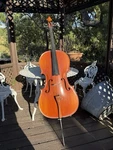 Knilling Bucharest 157F 4/4 Cello With Gigbag. Fixed Price $500.00.