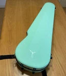 Eastman Violin Case Standard Pastel Green. Fixed Price $441.86.