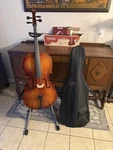 Strobel Student Series 3/4 Size Cello W/ Bow String Stand & Case. Fixed Price $529.99.
