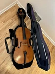 Frederich Wyss Cello 4/4 Size. Handmade Germany,in Perfect Playing Condition. Fixed Price $6500.00.