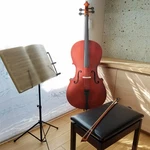 New 4/4 Professional Matt Wood Color Cello +bag+bow+rosin+bridge For Beginner. Fixed Price $159.90.