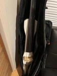 Stagg Hdb 200 Electric Cello With Gig Bag + Accessories. Fixed Price $650.00.