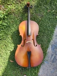 Samuel Eastman VC80 - 4/4 Student Cello 2009 W/soft Case. Fixed Price $1200.00.
