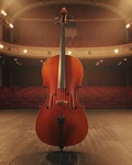 D'luca 4/4 Full Size Student Cello Outfit Flamed Maple Aged Spruce CAC400-44. Fixed Price $750.00.