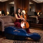 Crossrock FIBERGLASS4/4 Cello Case With Wheels-enlarged Interior Fits More. Fixed Price $529.00.