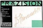 Thomastik-infeld 154 Mandolin Set E, A, D, G Satz. Fixed Price $73.69.