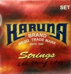 Karuna Vilayat Khani Style Sitar Strings Set With Sympathetic Tarabh 6+11. Fixed Price $55.00.
