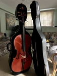 Full Size 4/4 Cornelia Strings VC320 Cello With Fiberglass Case & Bows. Fixed Price $2850.00.